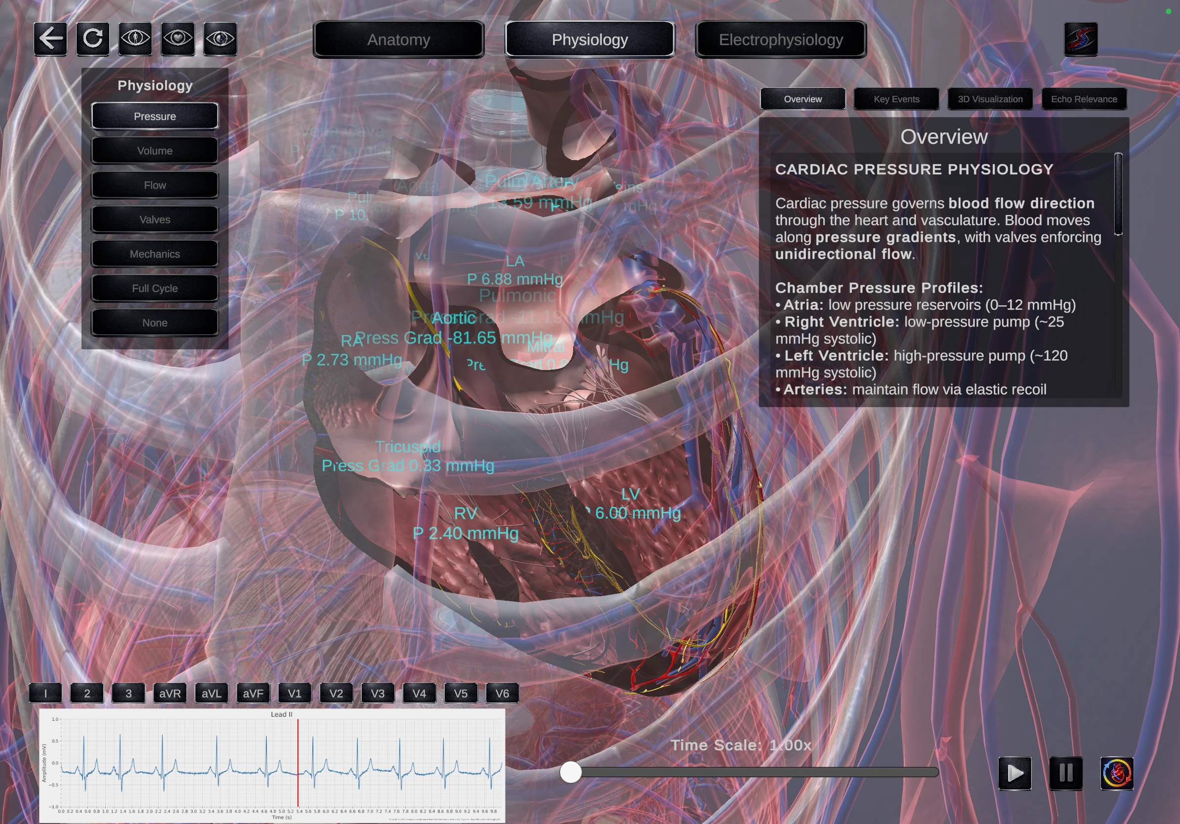 Physiology view 2
